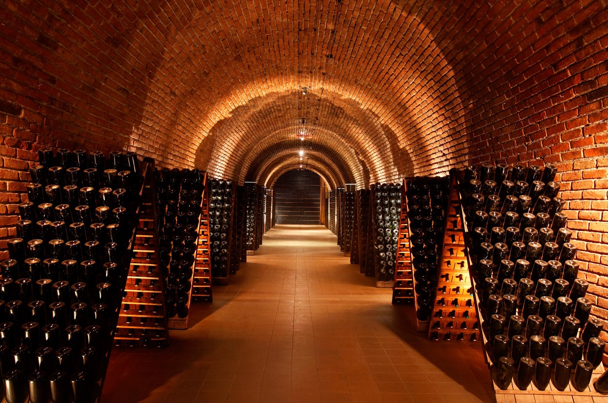 Bodegueando
